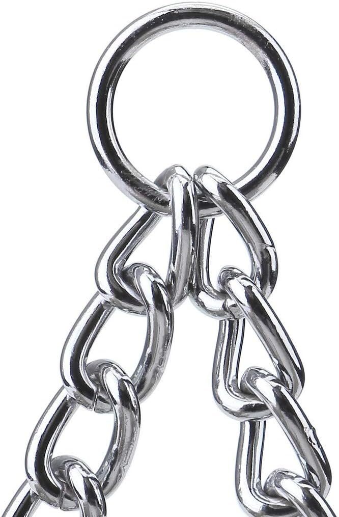 Filhome double dog leash coupler attached to two separate pet collars for training.