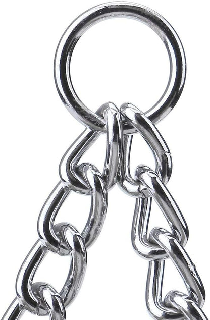 Filhome double dog leash coupler attached to two separate pet collars for training.