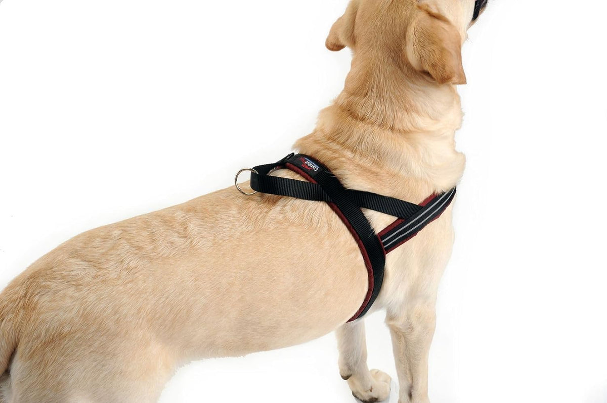 ComfortFlex hunter orange dog harness buckle and closure view