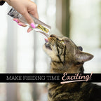Cat enjoying Fussie Cat chicken and liver puree