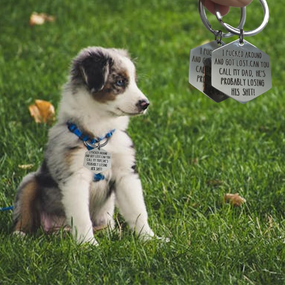Generic deeply engraved pet tag close up view illustrating scratch resistant metal.
