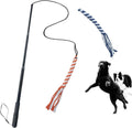 ASOCEA interactive dog extendable teaser wand front view showing retracted aluminum alloy pole and orange rope lure