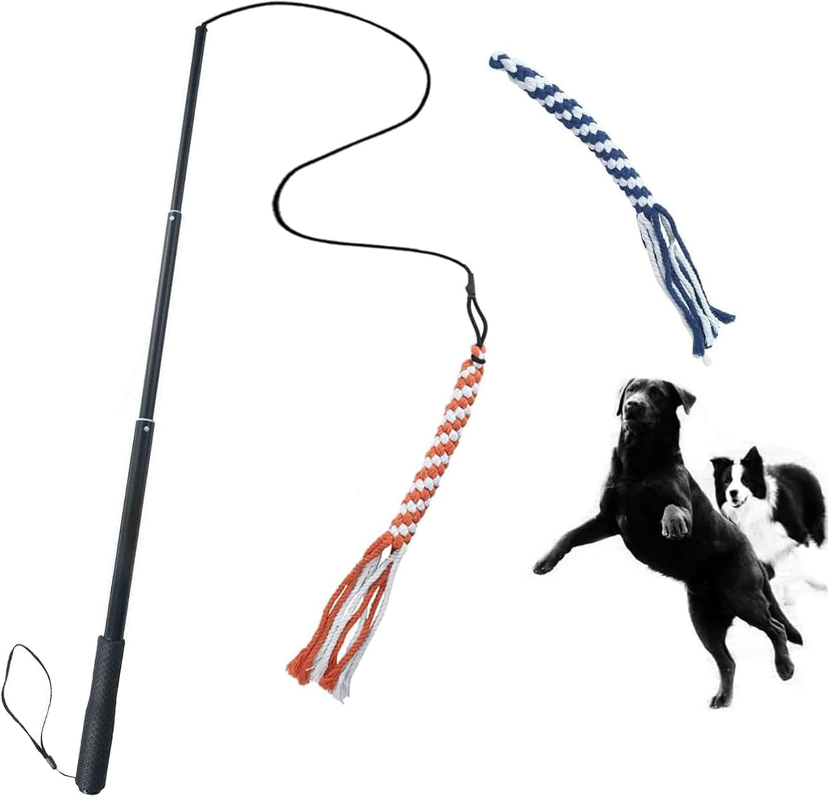 ASOCEA interactive dog extendable teaser wand front view showing retracted aluminum alloy pole and orange rope lure