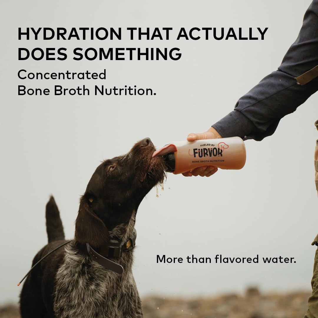 Nutrient rich liquid gravy topper bottle for dog food hydration