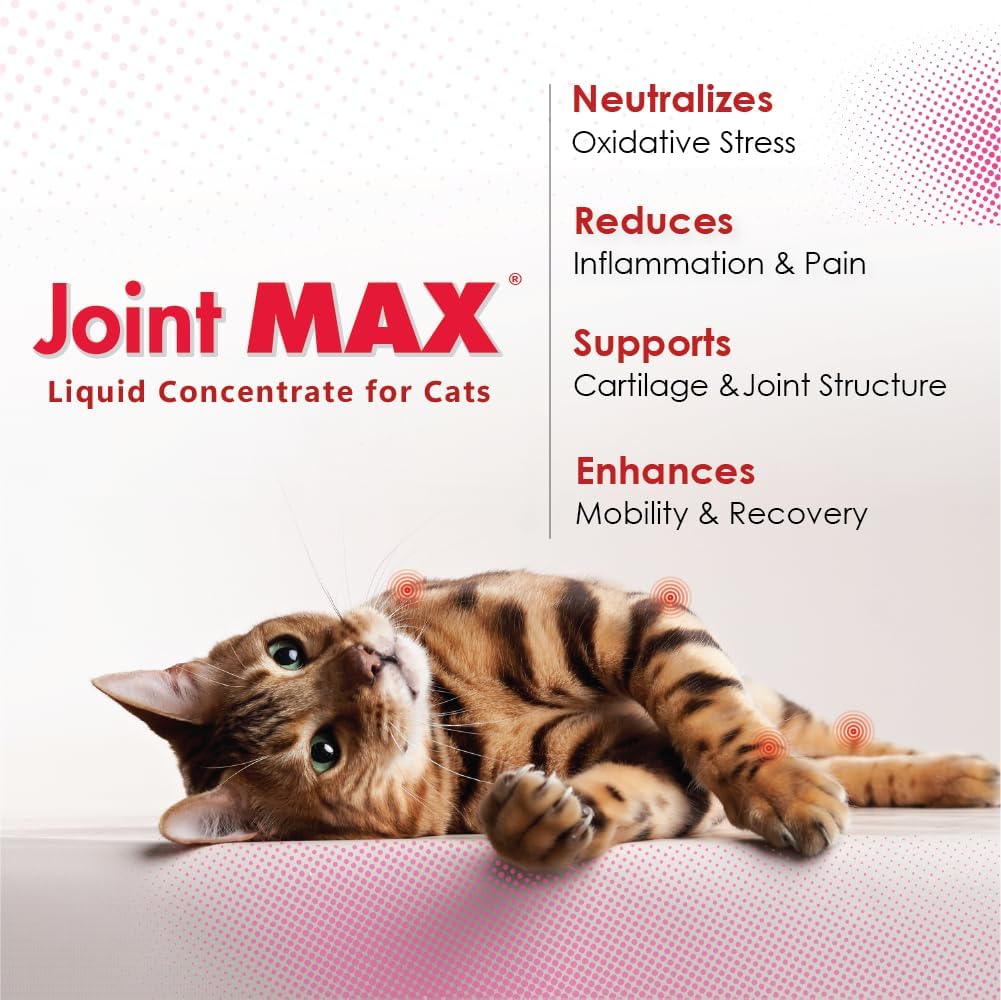 Back label of Joint Max liquid showing active ingredients for cat joint health