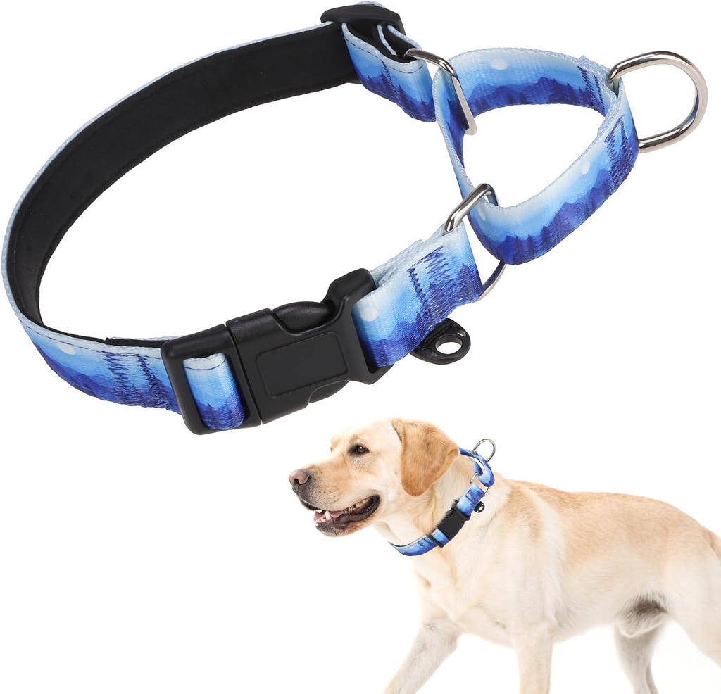Kooltail Martingale Dog Collar front view blue design