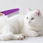 Using Yumflan flea comb on pet fur during grooming
