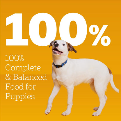 Complete And Balanced Puppy Nutrition Meal Portion