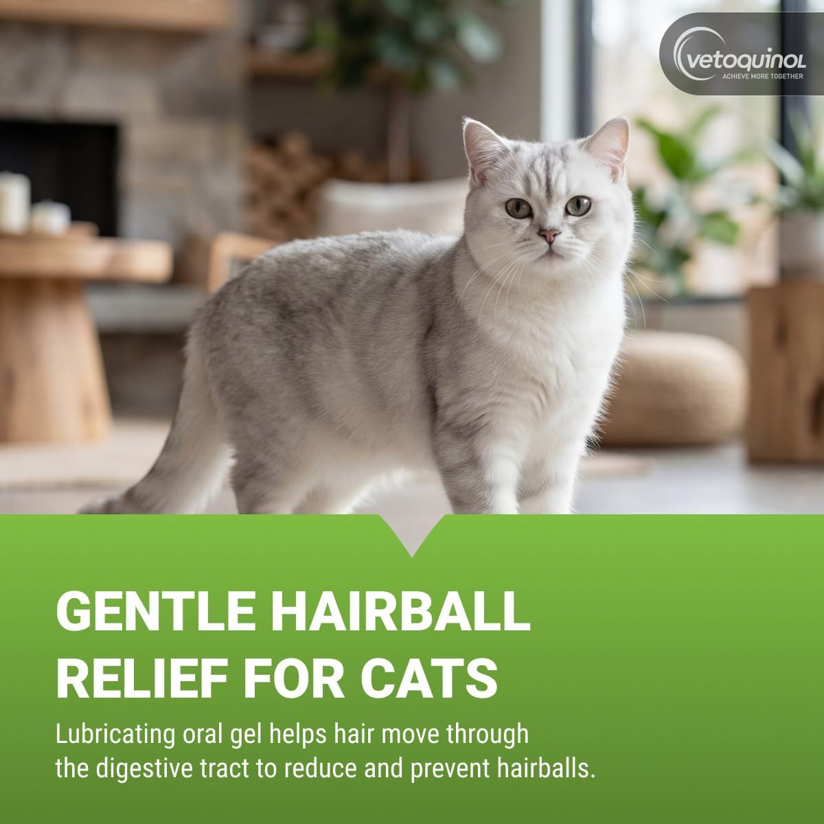 Vetoquinol Laxatone maple flavor cat supplement packaging details