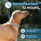 Instructions for fitting Amdeiur dog flea collar