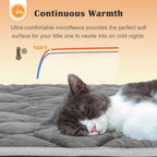 ULIGOTA thermal pet bed mat inside a standard pet crate showing precise fit.