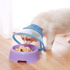Soft protective pet cone for post spay and neuter recovery