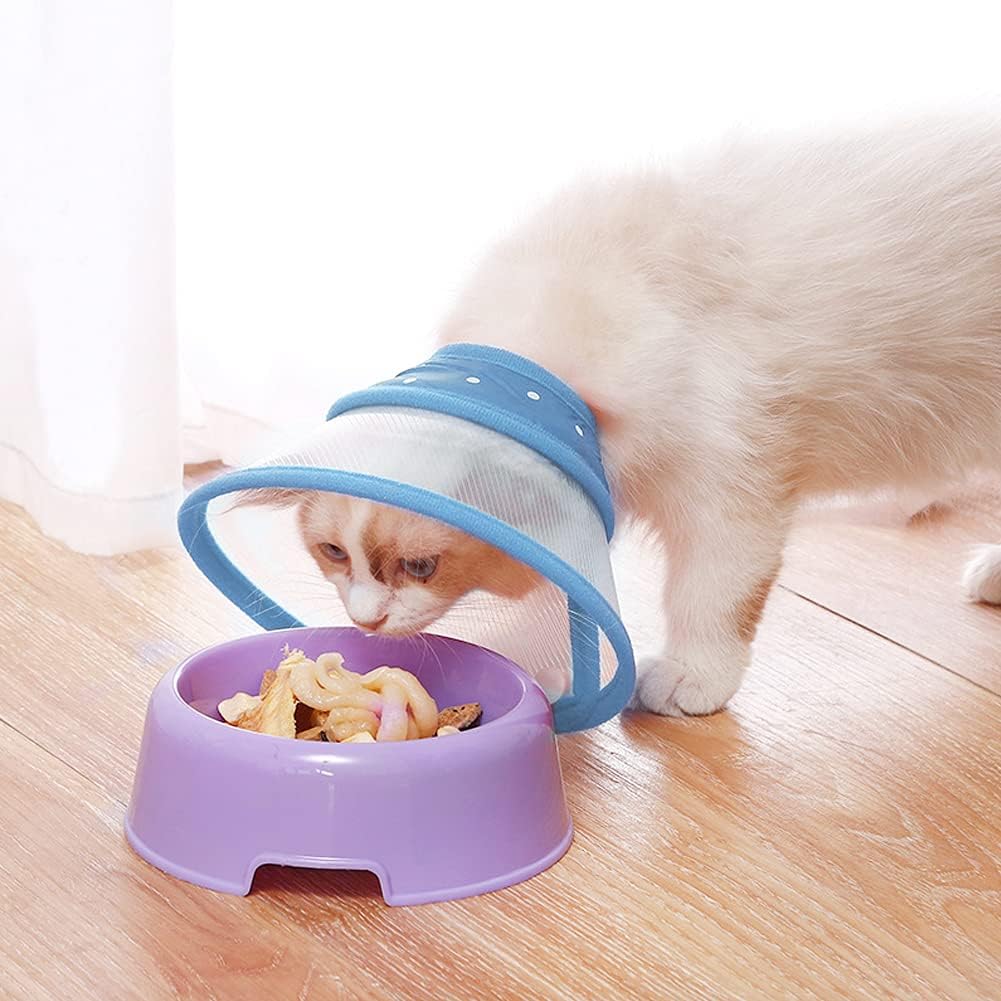 Soft protective pet cone for post spay and neuter recovery