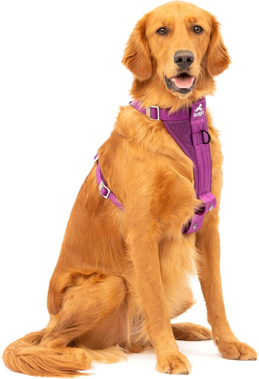 Kurgo Enhanced Strength Tru-Fit Dog Car Harness - Pet Travel Safety Harness - Crash Test Certified Fit - Five Point Adjustment - Secure Buckle - Padded Chest - Black - Medium - Image 9