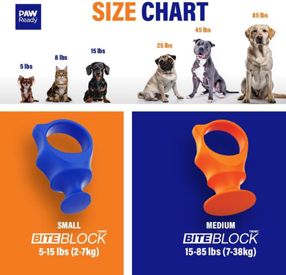 Paw Ready blue rubber bite block for small pet teeth cleaning