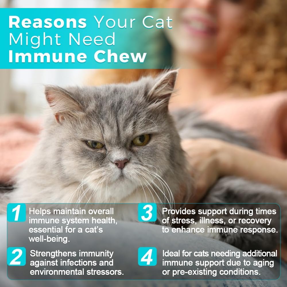 Close up of palatable Welsdom Cat Immune chewable tablets