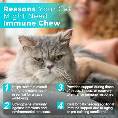 Close up of palatable Welsdom Cat Immune chewable tablets