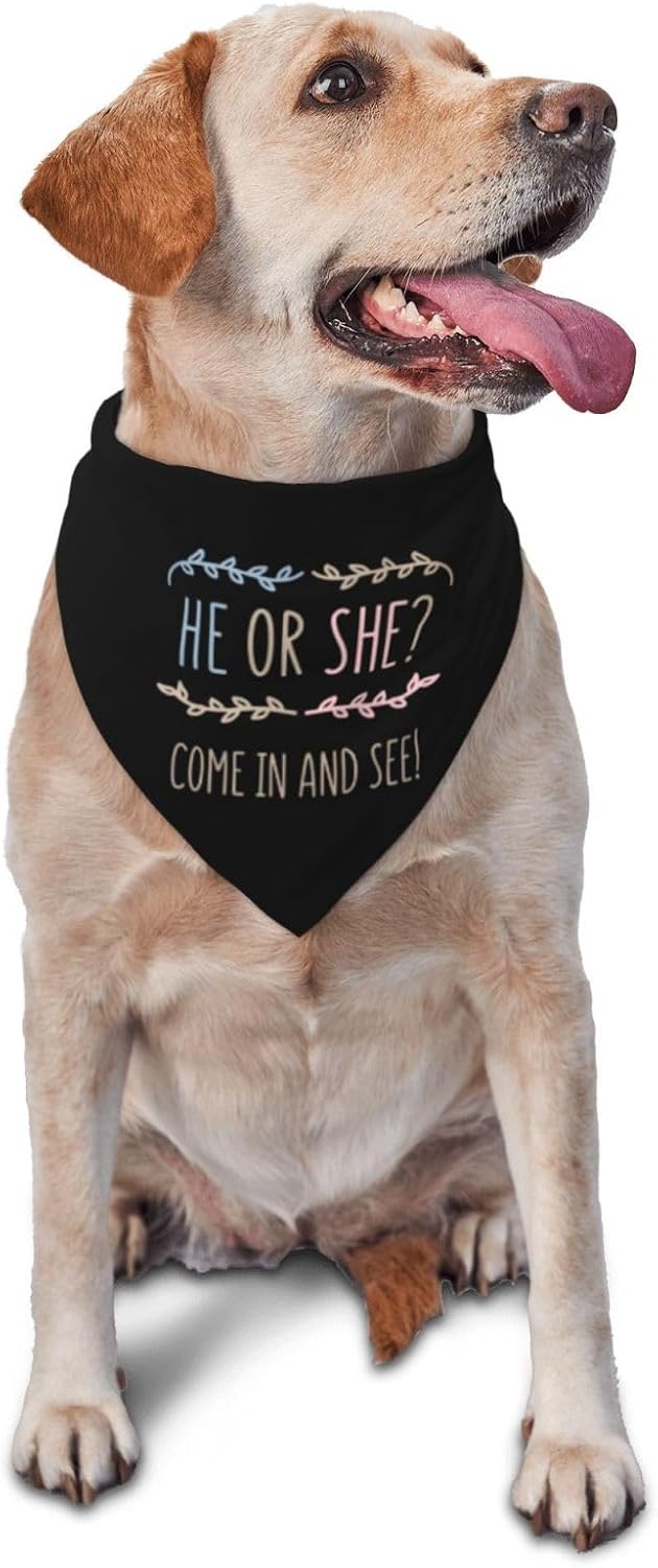 He Or She What Will It Be? Gender Reveal/Baby Announcement Dog Bandana,Pet Neckerchief for Pets Daily Wear Photo Prop Party Supplies (Blue) - Image 9