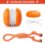 Small dog playing with QGI rolling dog ball indoors