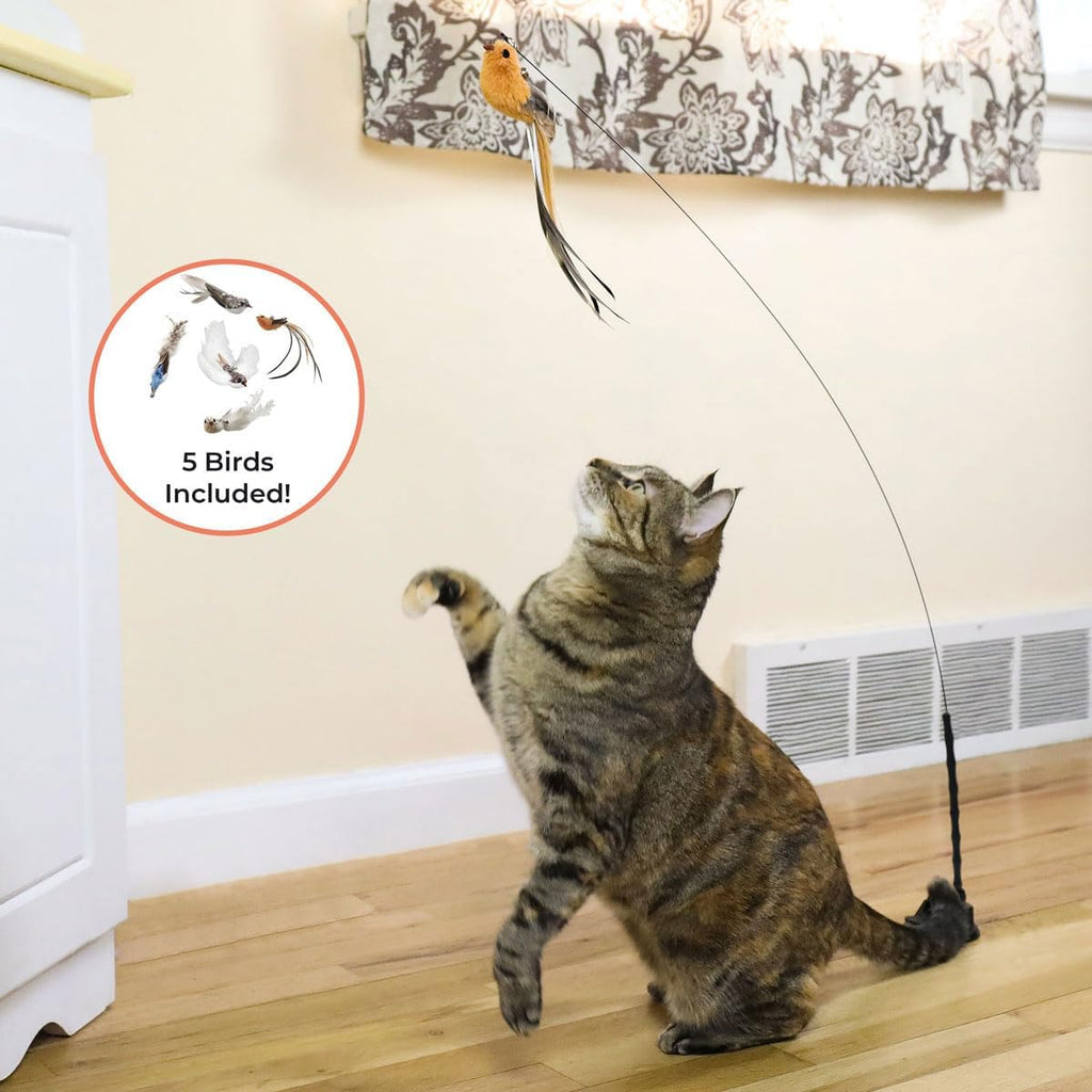 Five replacement feathered bird lures with bells included in the Whiskertons interactive set.