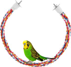 Small parrot climbing on Jusney rope bungee toy for exercise