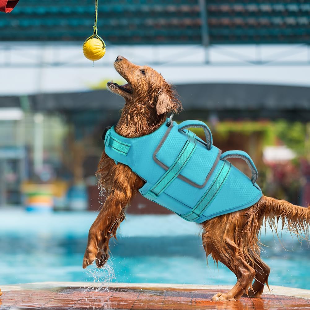 Adjustable quick-release buckles and nylon straps on the EMUST pet life vest.