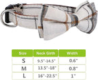 Faleela dog collar stainless steel buckle close up