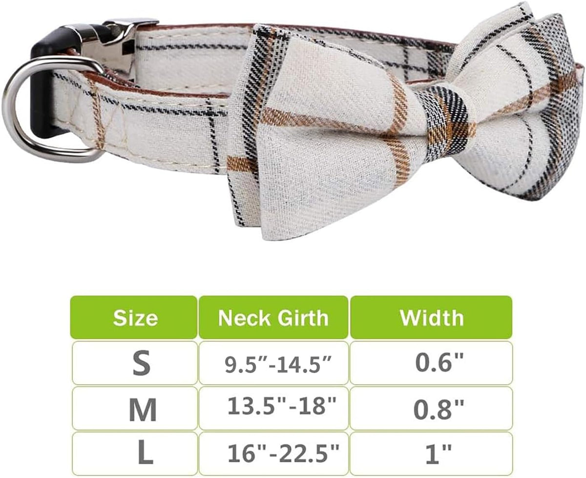 Faleela dog collar stainless steel buckle close up