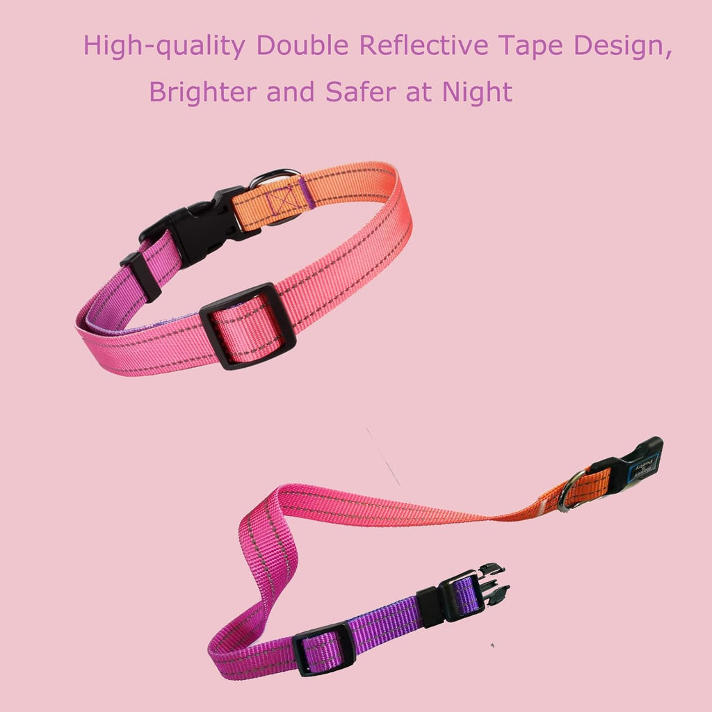 Safety focused design showing reflective visibility of dog collar
