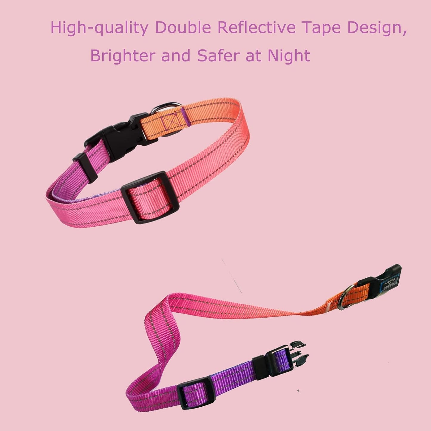 Safety focused design showing reflective visibility of dog collar