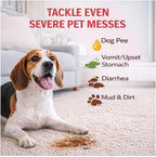 Skout's Honor dog stain remover spray on carpet