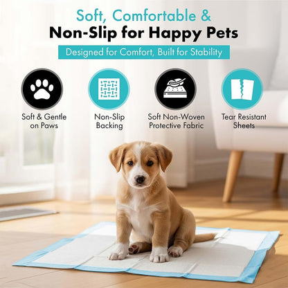 Tbm puppy pads being used under pet food bowl