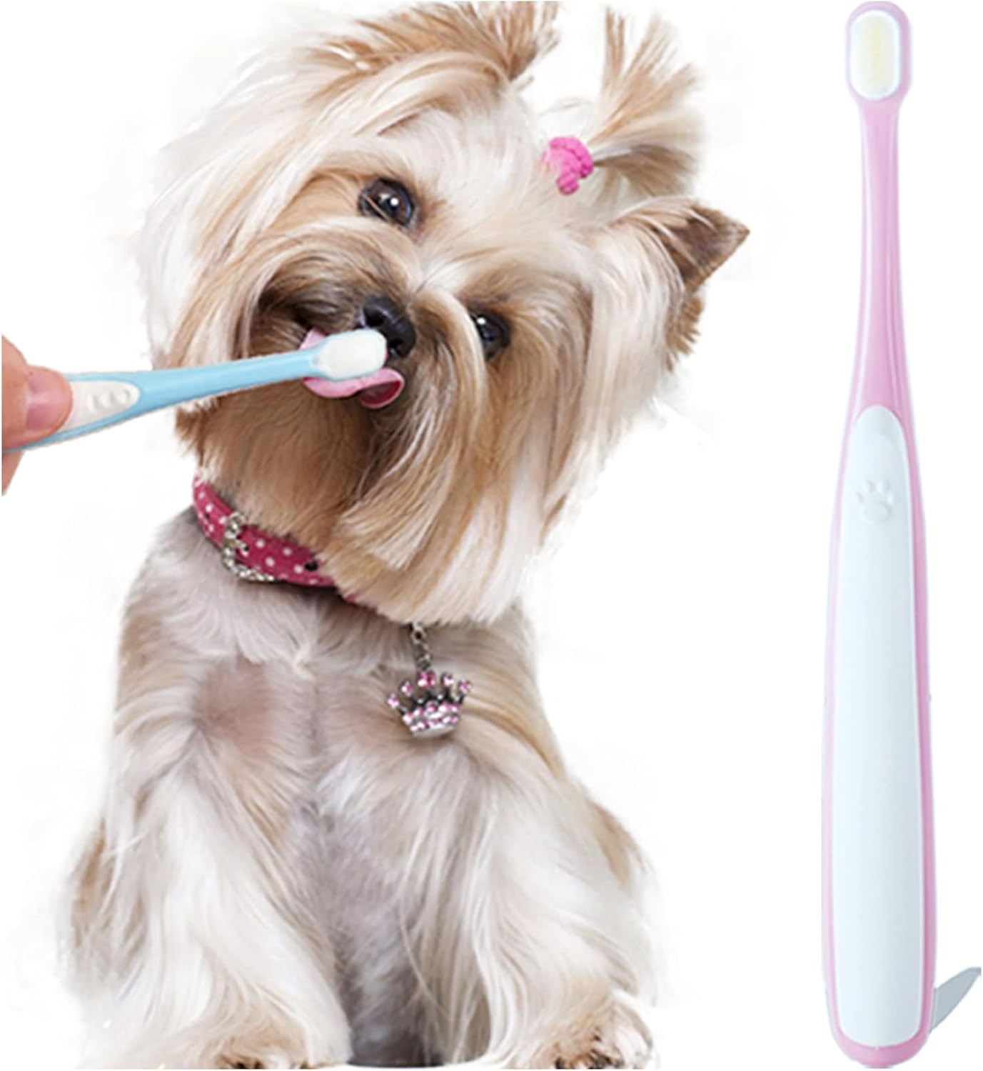 Small Dog Toothbrush, Cat & Puppy Tooth Brushing Kit, Ultra Soft & Mini Head Tooth Brush for Kitten & Tiny Pet, Doggy Toothbrushes Deep Dental Teeth Cleaning, Soft Bristles, 2 PCS - Blue - Image 9