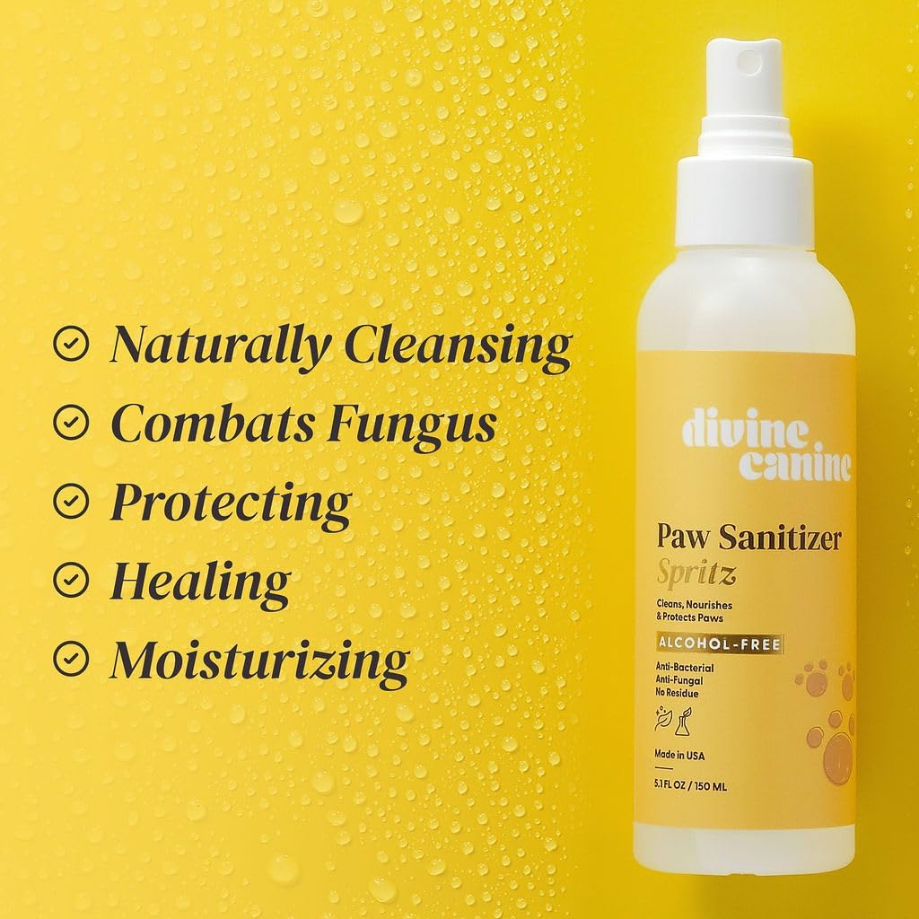 No-rinse dog paw cleaner with natural botanical ingredients