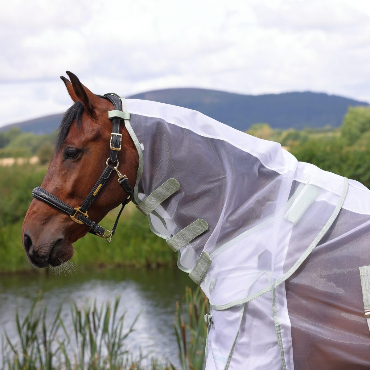 Shires Highlander horse rug with detachable neck cover attached.