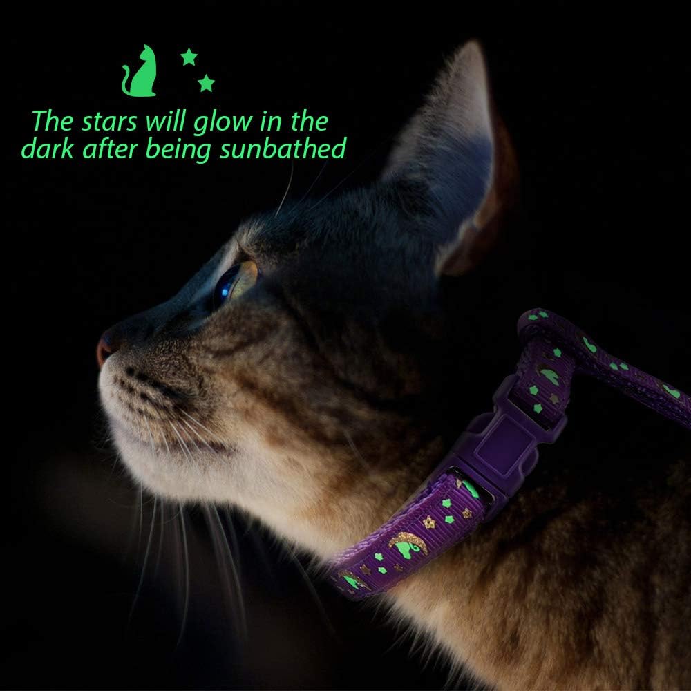 Soft lightweight H shaped pet vest strap for small kittens close up
