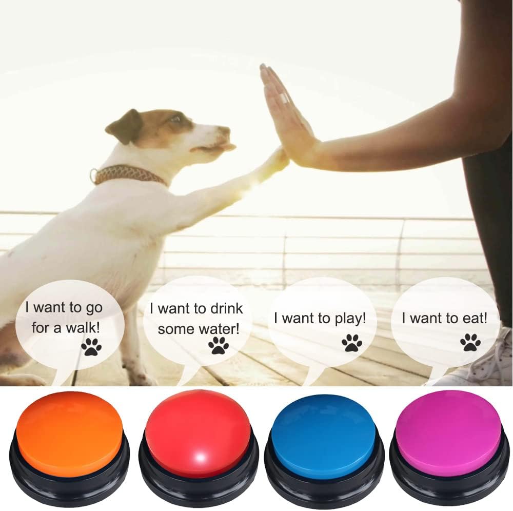A dog pressing a colorful communication training button with its paw