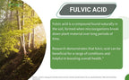 The Healthy Life 4 Me organic fulvic acid drops lifestyle use