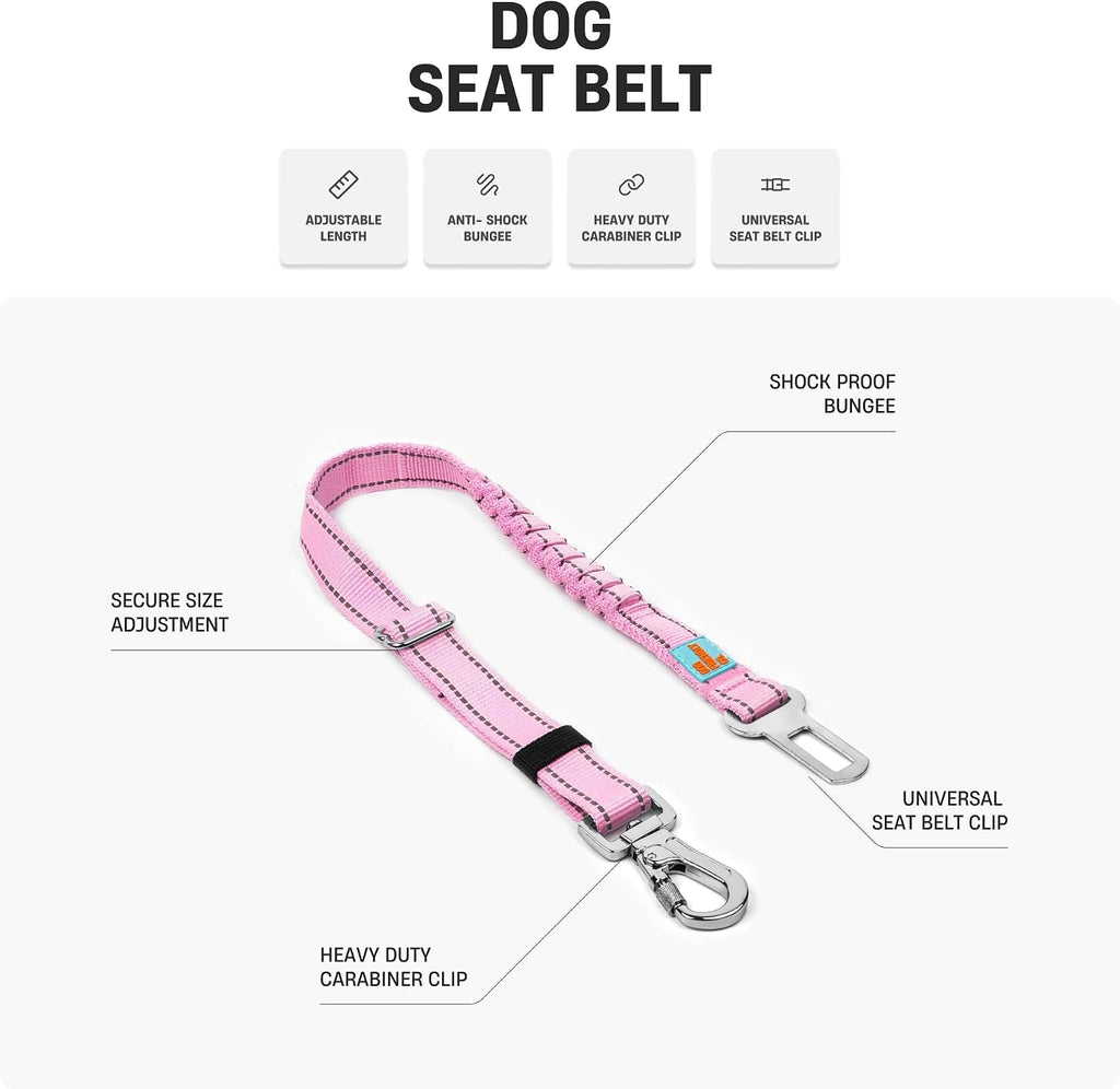 Adjustable dog seat belt length demonstration