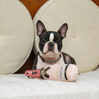 Close up of squeaky dog toy for boredom relief