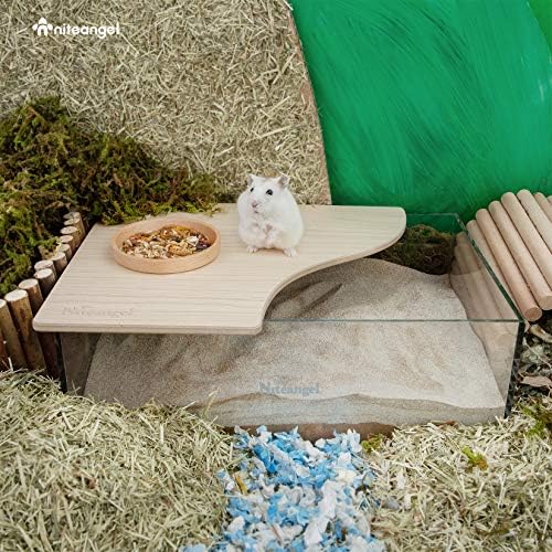 Niteangel Animal Sand-Bath Box: - Acrylic Critter's Sand Bath Shower Room & Digging Sand Container for Hamsters Mice Lemming Gerbils or Other Small Pets (Rectangle, Burlywood) - Image 5