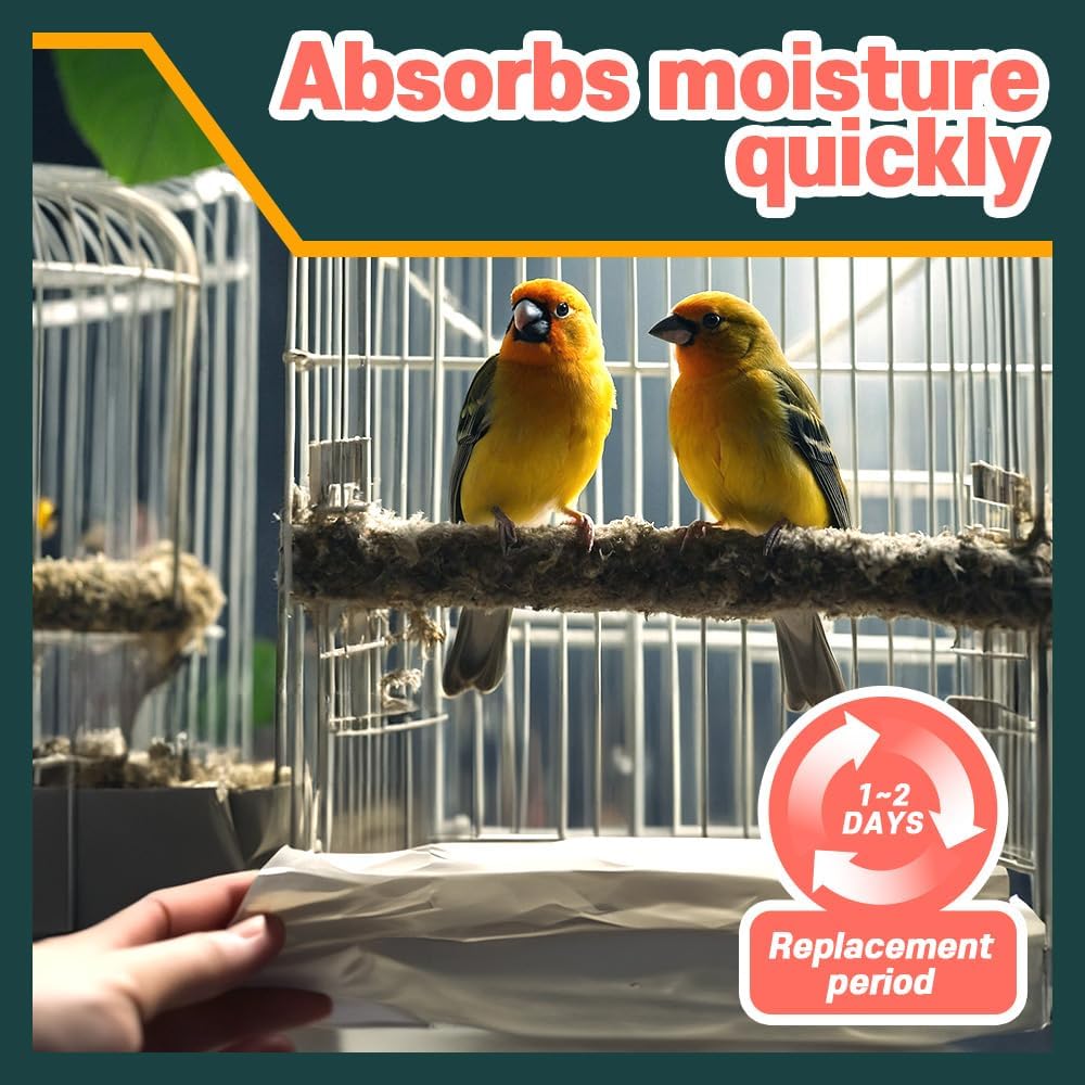 Ha Shi cage liner placed in a parrot enclosure