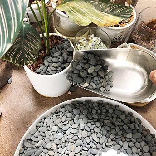 Smooth black pebbles used for outdoor garden landscaping