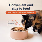 Cat eating food mixed with savory chicken gravy meal topper