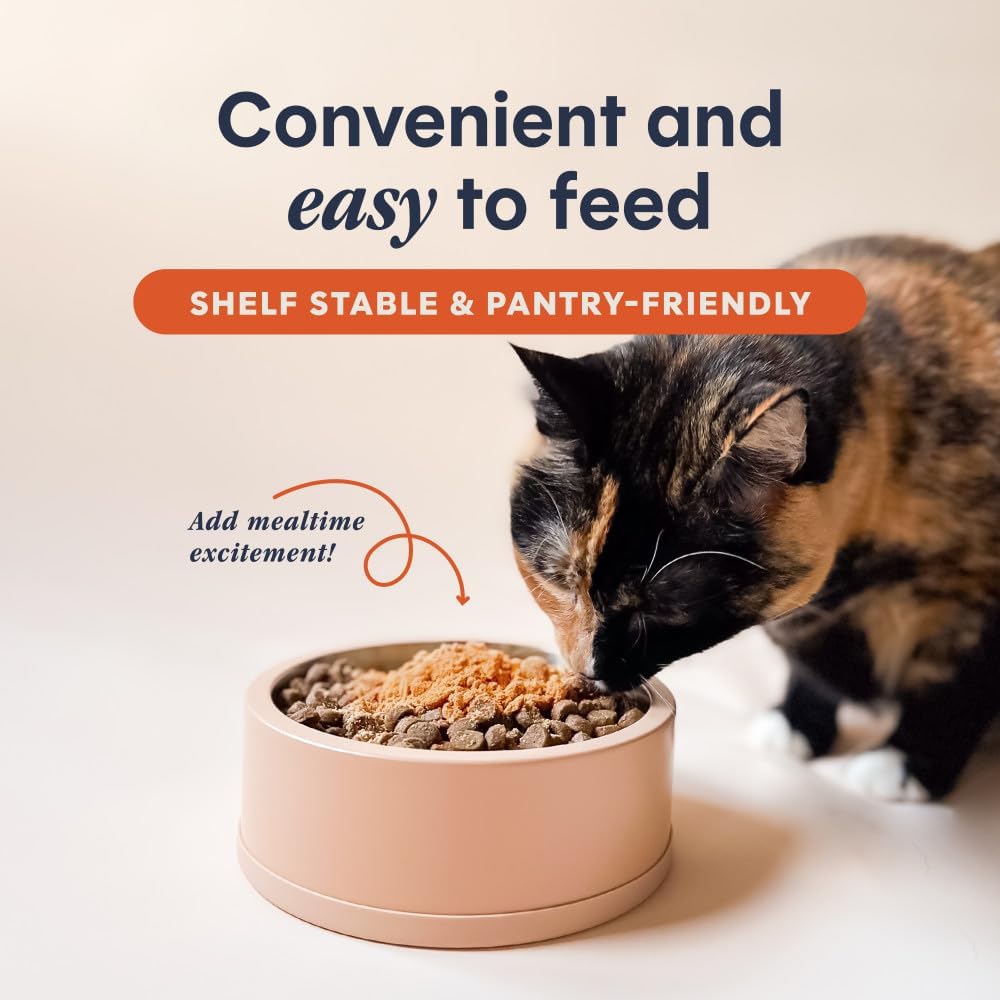 Cat eating food mixed with savory chicken gravy meal topper