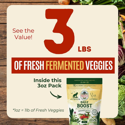 Gussys Gut Daily Boost packaging illustrating the ninety day gut reboot phase.