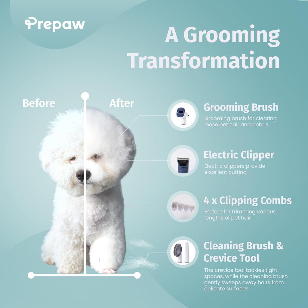 Simple Way pet clippers and guide combs attached to the whisper quiet vacuum system.