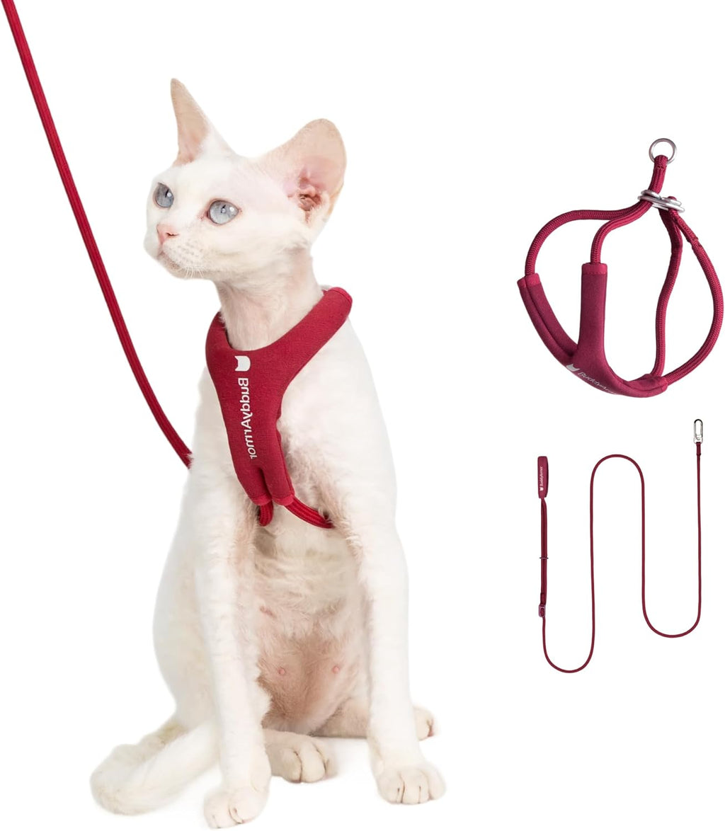 Cat Harness and Leash Set, Escape Proof Y Shape Cat Harness Adjustable Anti-Choke Soft Padded Vest Harness Hands Free Cat Rope Leash Harness Set for Cats up to 15.4 lbs (Burgundy, M) - Image 11
