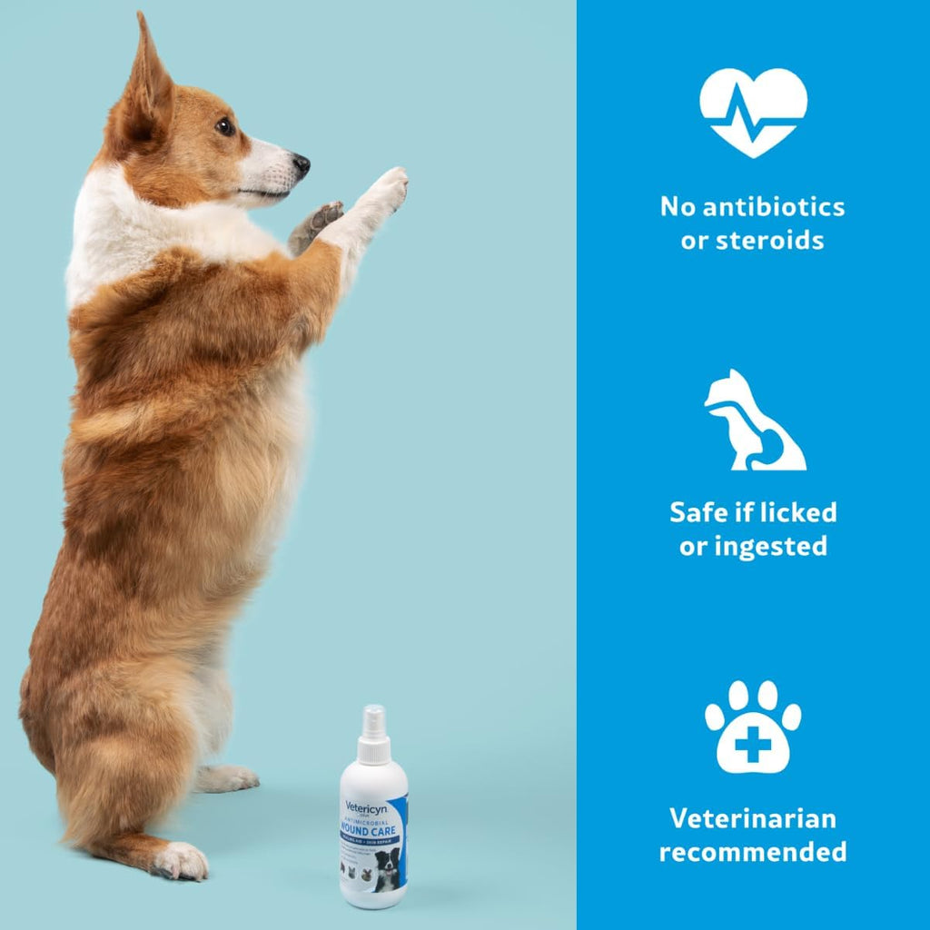 Steroid free dog first aid spray bottle by Vetericyn for soothing itchy skin