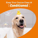 Zesty Paws pet grooming product for all dog breeds